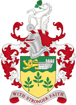 Arms of Ashford